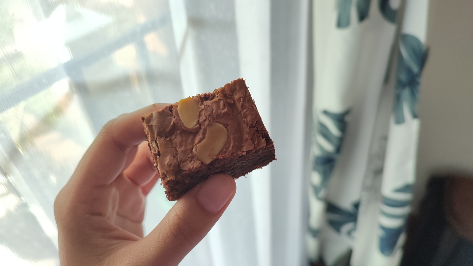 Brownies Kartika Sari